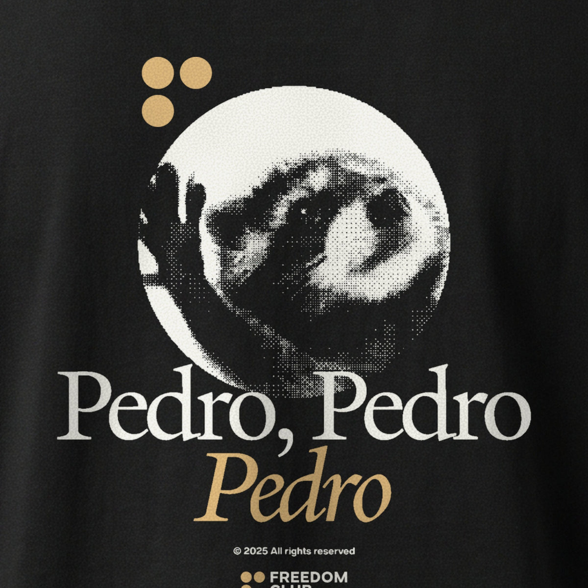 The Pedro Tee, back print detail [m655v2-04]